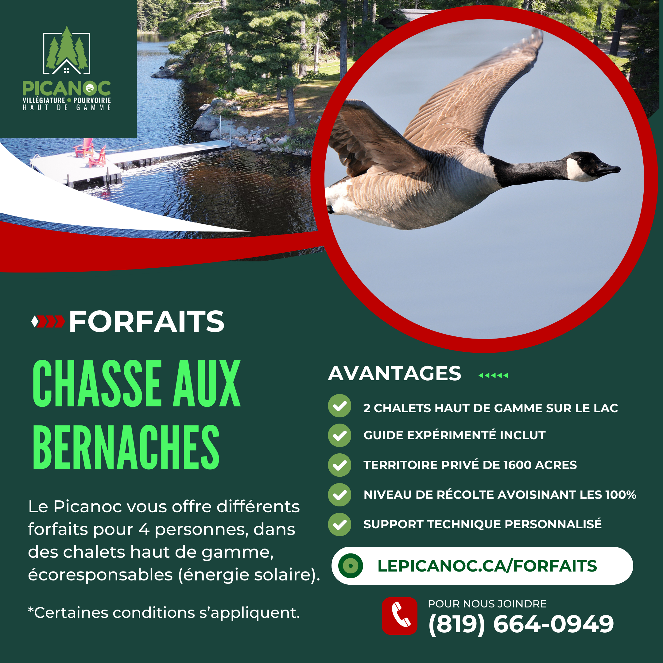 Copie de FORFAIT CHASSE bernache