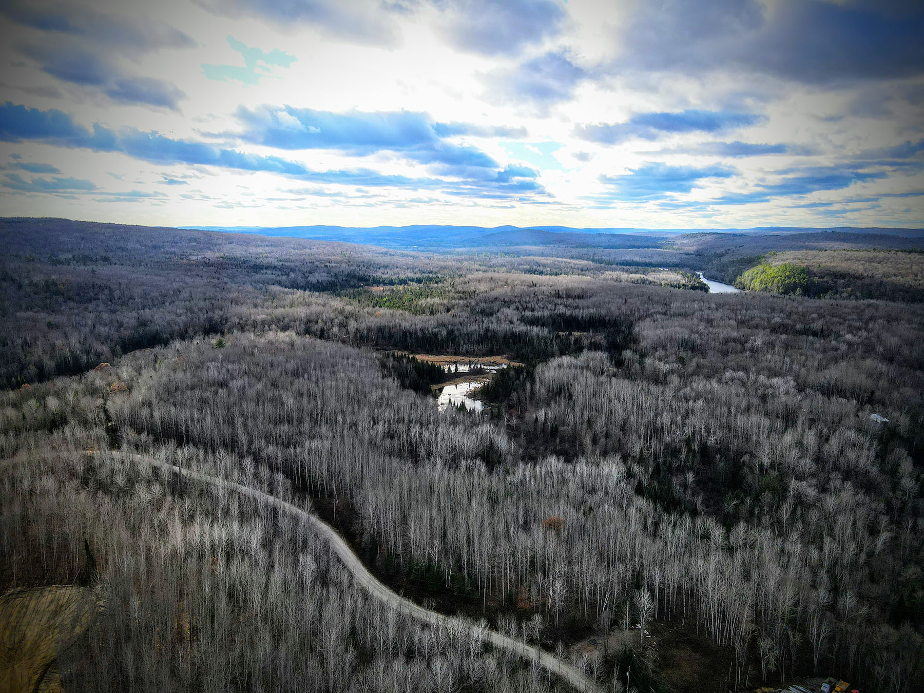 dji fly 20241107 142252 862 1731007408091 photo